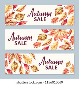 Collection of vector autumn sale banner  with bright fall leaves. 
