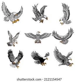 collection of vector  bald eagle 