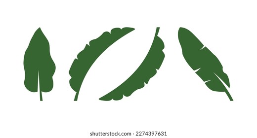 colección de diseños vectoriales de hojas de plátano, vector de hoja de plátano