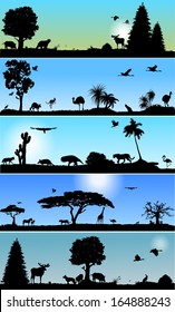 Collection of Vector banners with wold fauna and flora