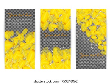 Collection of vector banners with yellow cute petals of tulips on a transparent backdrop for greeting cards with a mother's day or design for a birthday