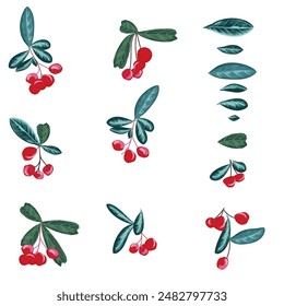 Collection of vector berries with leaves for design