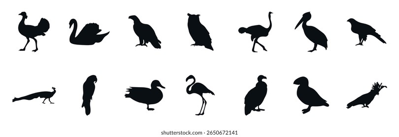 Coleção de ilustrações de aves vetoras é uma incrível coleção em preto e branco de várias silhuetas. É ideal para decorar objetos com temas de zoológicos, natureza, animais e aves