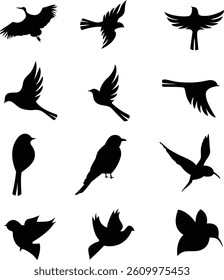 Collection of vector bird silhouettes in various flying positions for design use.