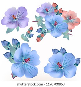Collection of vector blue and pink flowers