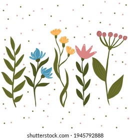 Collection of vector bright spring flowers