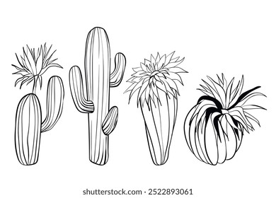 Coleção de cactos vetoriais isolados sobre fundo branco. Conjunto de ícones desenhados à mão de cactos florescentes. Ilustração de vários elementos da natureza.