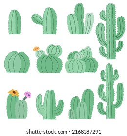 Colección de plantas de cactus vectoriales aisladas en un fondo blanco.