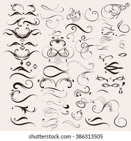 Collection of vector calligraphic flourishes in vintage style  for design