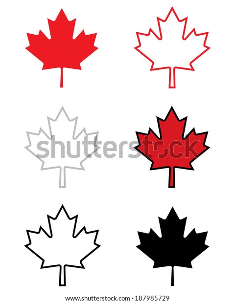 Collection Vector Canadian Maple Leaf Icons Stock Vector (Royalty Free ...