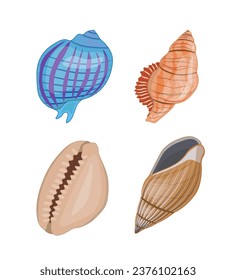 Collection of vector cartoon illustration of colorful seashells on a white background.