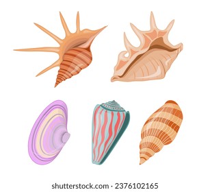 Collection of vector cartoon illustration of colorful seashells on a white background.