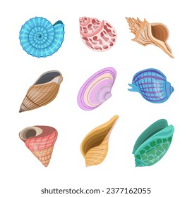 Collection of vector cartoon illustration of colorful seashells on a white background.