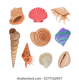 Collection of vector cartoon illustration of colorful seashells on a white background.