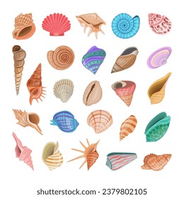 Collection of vector cartoon illustration of colorful seashells on a white background.