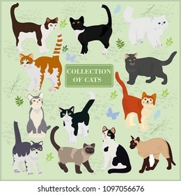 Collection of vector cats on a green background