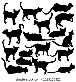 Collection of vector cats silhouettes. Black icons of cats isolated on white background