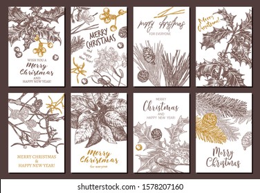Collection of vector Christmas and New Year floral botanical greeting cards. Holiday banners or posters with festive plants hand drawn illustrations: fir, larch, spruce, poinsettia, holly berry