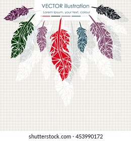 collection of vector colored feathers 