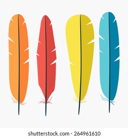 Collection of vector colored feathers. Colorful illustration in flat design. Graphic elements for your design