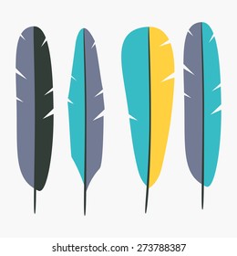 Collection of vector colored feathers. Colorful illustration in flat design. Graphic elements for your design