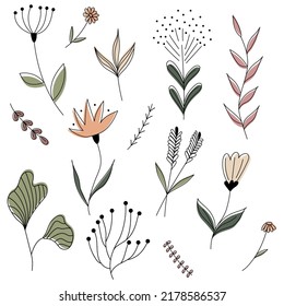 Collection of vector colored plants and flowers in doodle style.  Colorful flat illustration.