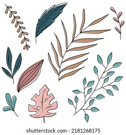 Colección de plantas de color vectorial y flores en forma de doodle.  Ilustración plana colorida.