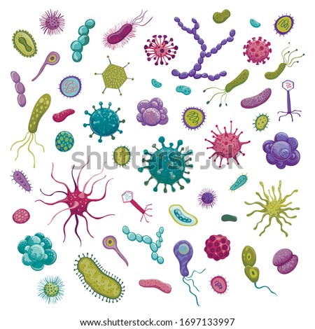 Collection of vector colored stylized drawings of bacteria and viruses