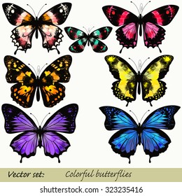 Collection of vector colorful realistic butterflies