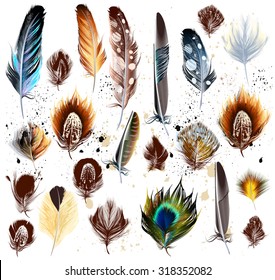 Collection of vector colorful realistic feathers