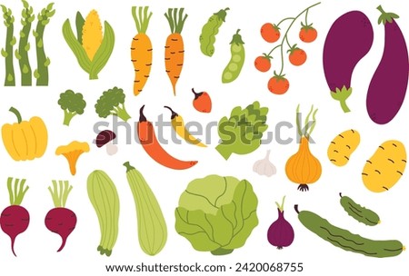 Collection of vector colorful vegetables. Farm organic vegetables. Graphic elements for design