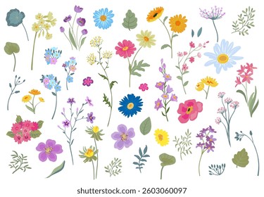 Collection of vector colorful wildflowers. Blooming meadow. Set of forget-me-nots, chamomile, daisies