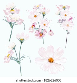 Collection of vector cosmos flowers in watercolor realistic style