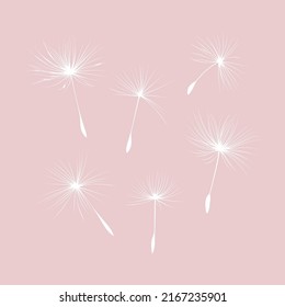Collection of vector dandelion seeds