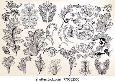 Collection of vector decorative floral elements in vintage style