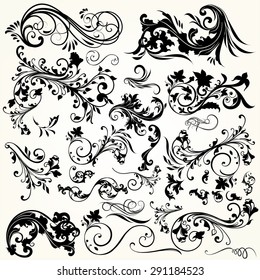 Collection of vector decorative flourishes