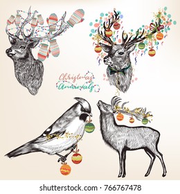 Collection of vector detailed Christmas animals and birds