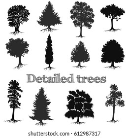 Collection of vector detailed hand drawn trees silhouettes for design