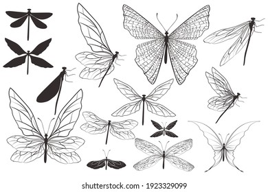 Collection of vector dragonflies and butterflies for design