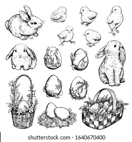 Collection of vector Easter illustrations. Set of rabbits, chickens, baskets, eggs, nest. Hand drawn ink sketches isolated on white. Elements for Easter holiday design, card, poster, print, wrapping.