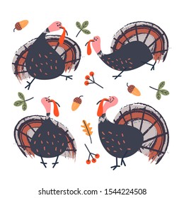 Collection of vector elements for thanksgiving.  Cheerful turkeys, autumn leaves, orange pumpkins, berries and acorns. Vector illustration on white background.