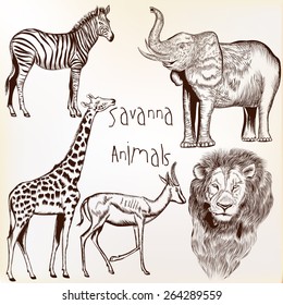 Collection of vector engraved savanna animals