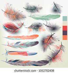 Collection of vector feathers for design