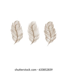 Collection of vector feathers vector illustration