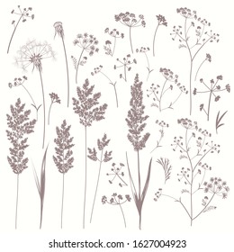 Collection of vector field plants in vintage style