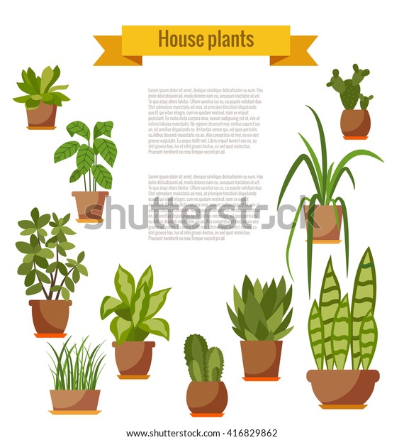 Collection Vector Flat Home Plant Pot Stock Vector (Royalty Free ...