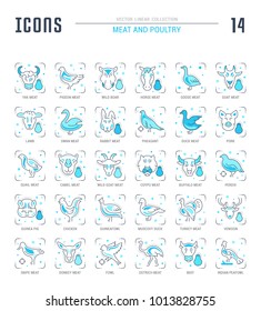 Collection of vector flat icons with thin line elements of meat and poultry. Set of clean design, and outline signs. Simple linear infographics and pictograms pack for web graphics and apps.