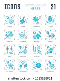 Collection of vector flat icons with thin line elements of herbs. Set of clean design, and outline signs. Simple linear infographics and pictograms pack for web graphics and apps.
