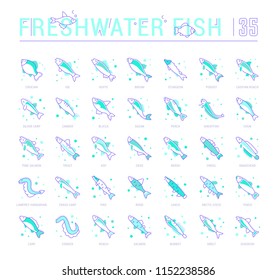 Collection of vector flat icons with thin line elements of freshwater fish. Set of clean design, and outline signs. Simple linear infographics and pictograms pack for web graphics and apps.