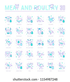 Collection of vector flat icons with thin line elements of meat and poultry. Set of clean design, and outline signs. Simple linear infographics and pictograms pack for web graphics and apps.